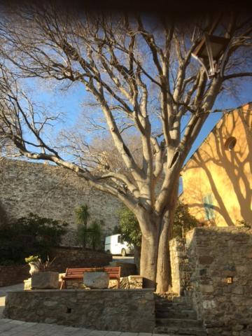 Logement Neuf Centre Du Village Aux Pieds Du Chateau Grimaud Buitenkant foto
